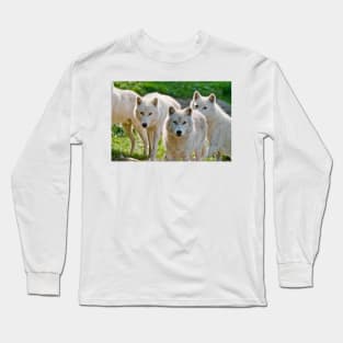 Arctic Wolf Long Sleeve T-Shirt